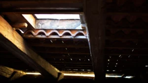 Traitement de charpente à Feigères : protégez votre bois contre insectes et humidité